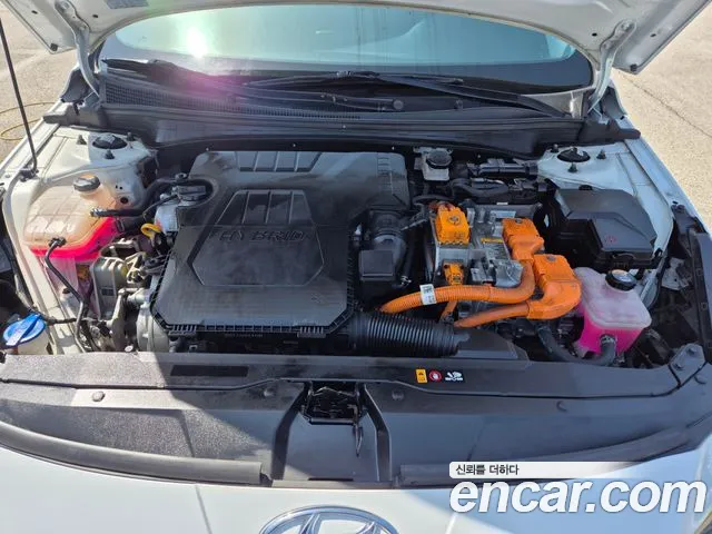 Hyundai Avante Hybrid (CN7) 2022 Белый из Кореи, фото 6