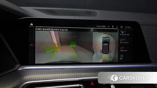 BMW X5 (G05) 2020 Серый из Кореи, фото 6