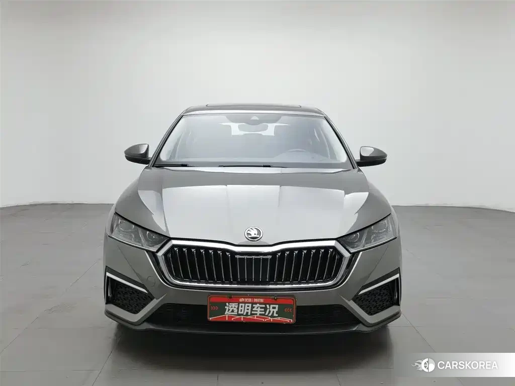 Skoda Octavia 2022 Silver/gray из Китая, фото 6