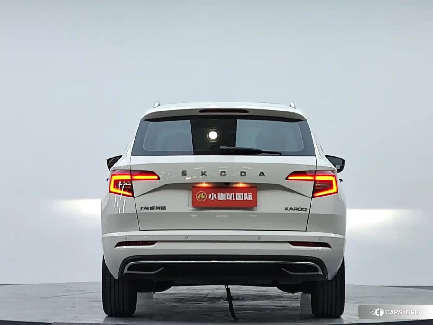 Skoda Krok 2023 Белый из Китая, фото 6