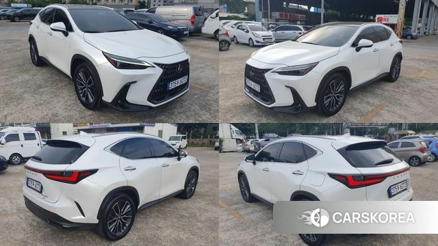 Lexus NX350h Second generation 2023 Белый из Кореи, фото 6