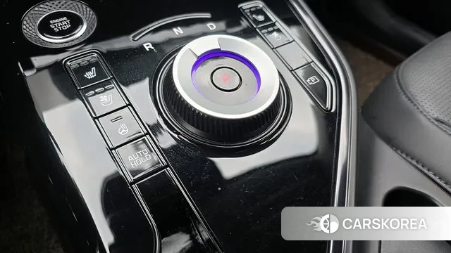 Kia Di Ol Nu Niro 2024 Цвет тростника из Кореи, фото 6