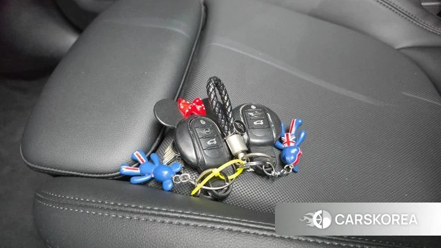 Mini Cooper Countryman 2020 Жемчужный цвет из Кореи, фото 6