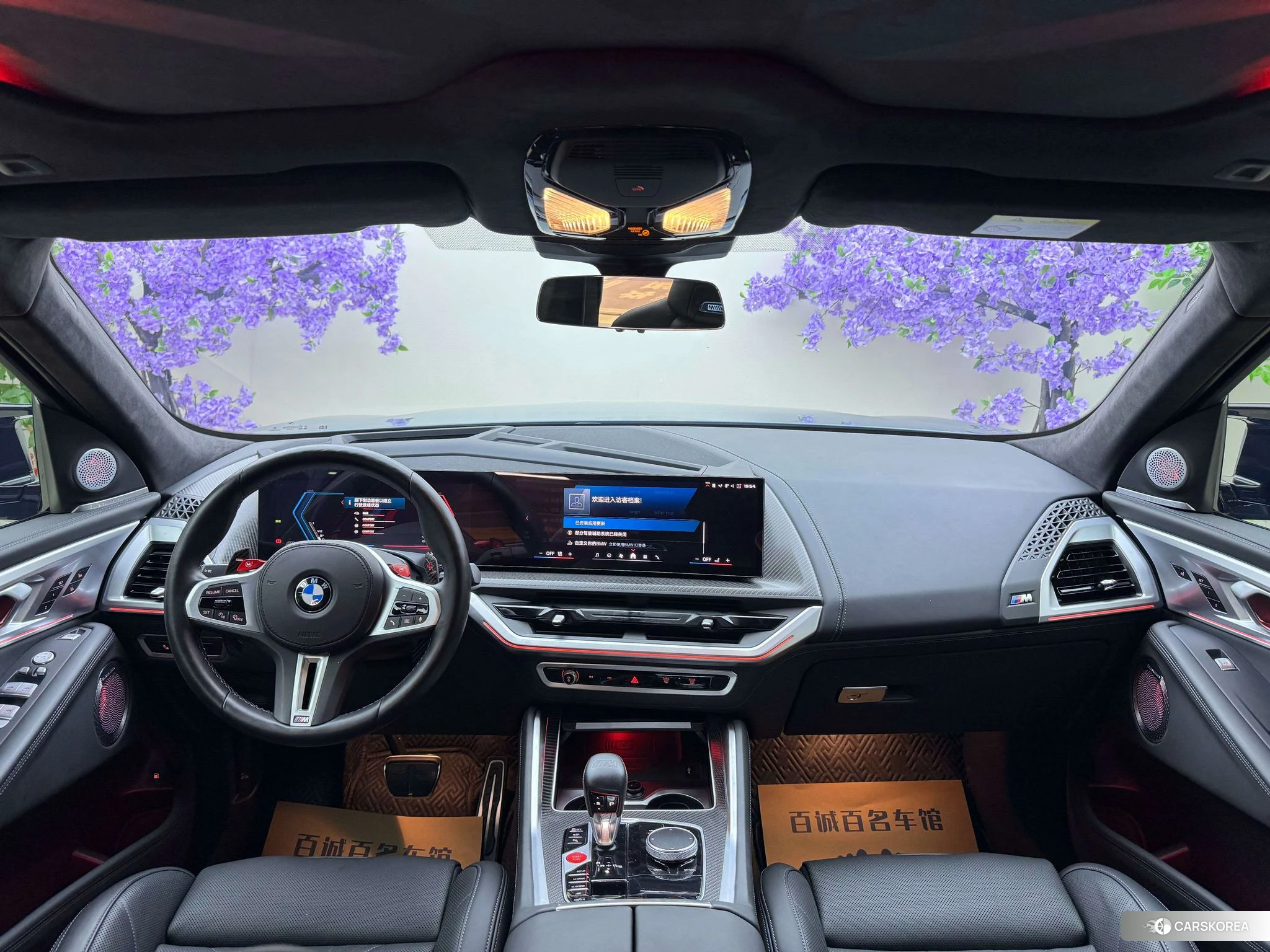 BMW XM 2023 Черный из Китая, фото 6