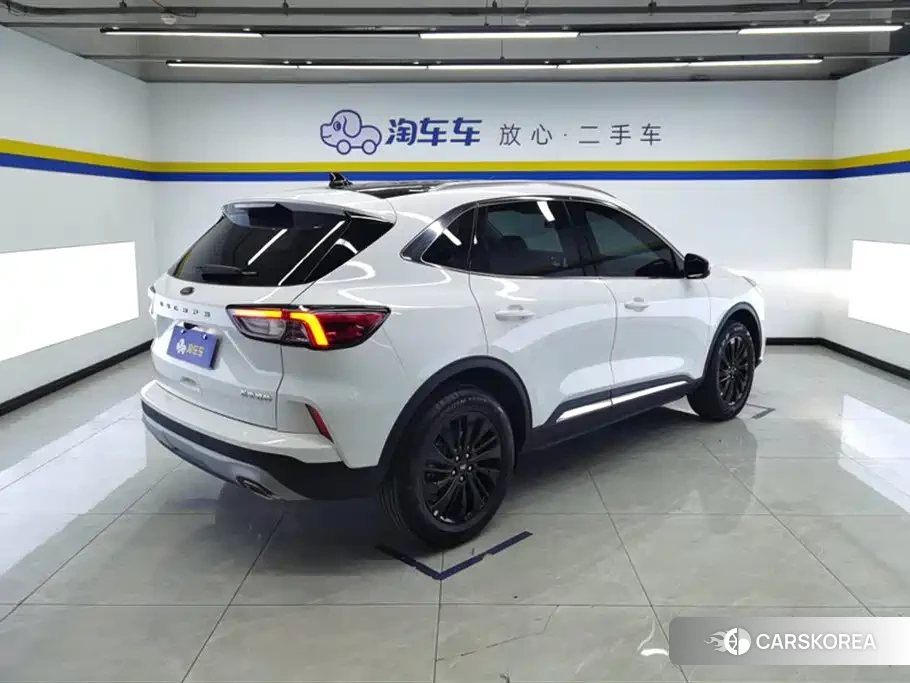Ford Ruiji 2024 Белый из Китая, фото 6