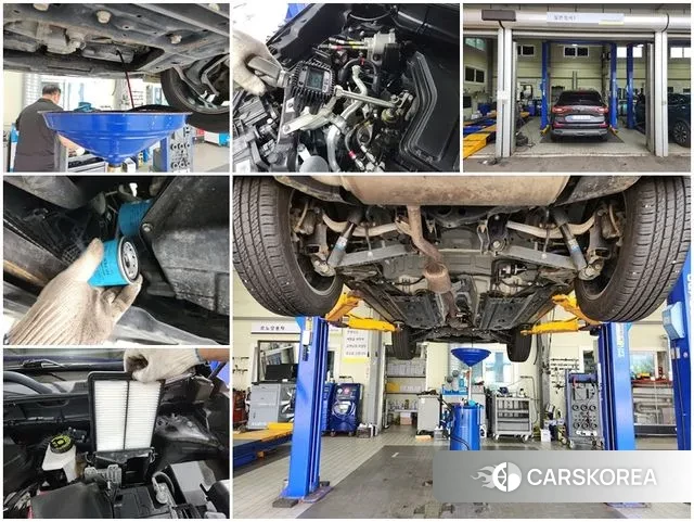 Renault Korea (Samsung) The New QM6 2020 Фиолетовый из Кореи, фото 6