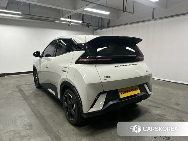 BYD Seagull 2024 Белый из Китая, фото 6