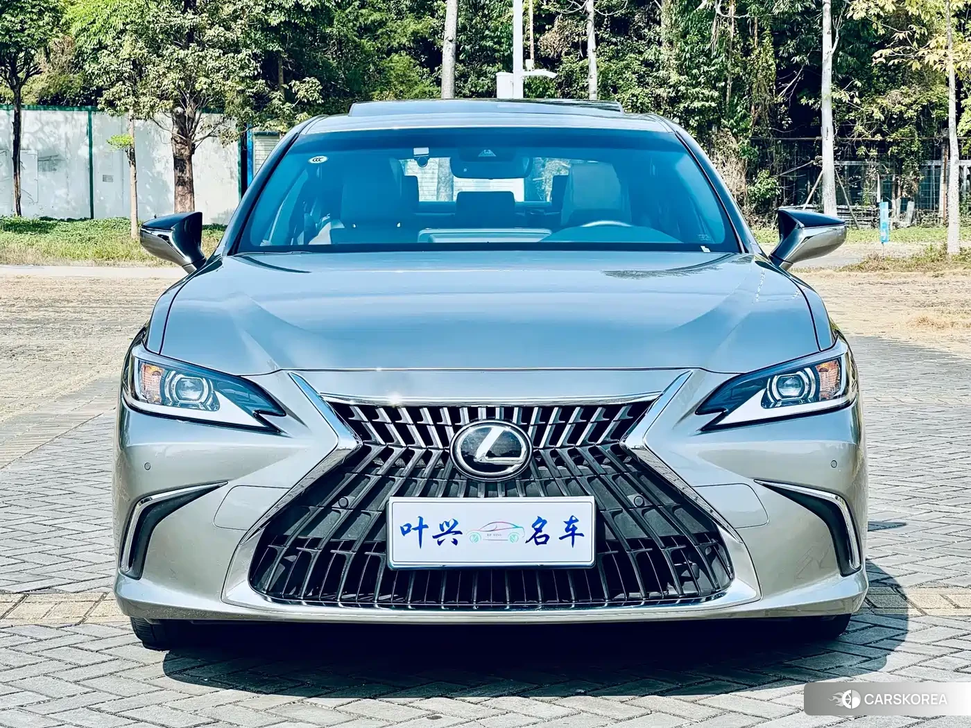 Lexus ES 2023 Silver/gray из Китая, фото 6
