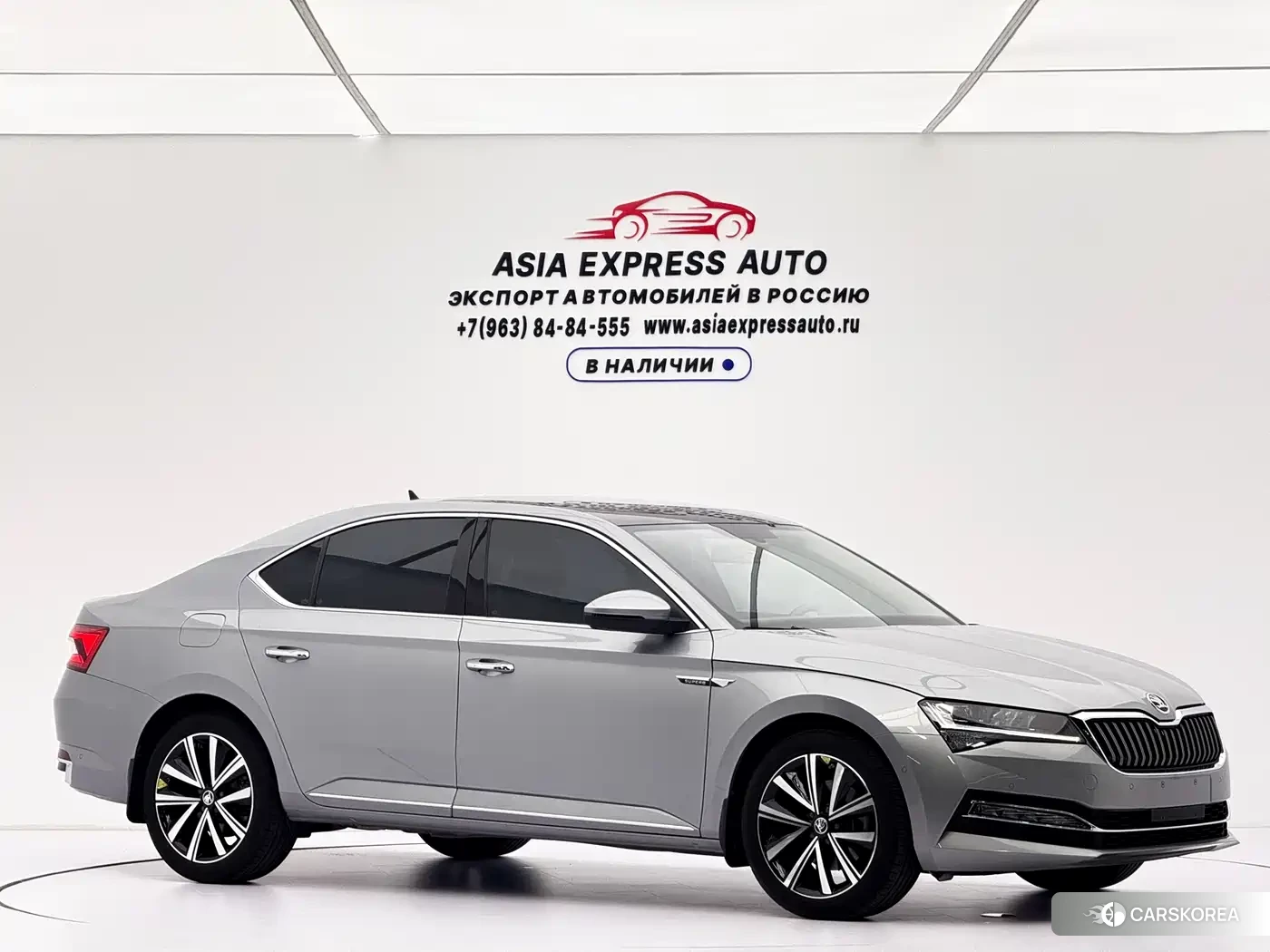 Skoda Speed pie 2024 Silver/gray из Китая, фото 6
