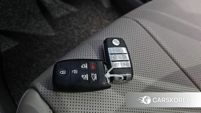 Kia The New Carnival 2019 Белый из Кореи, фото 6
