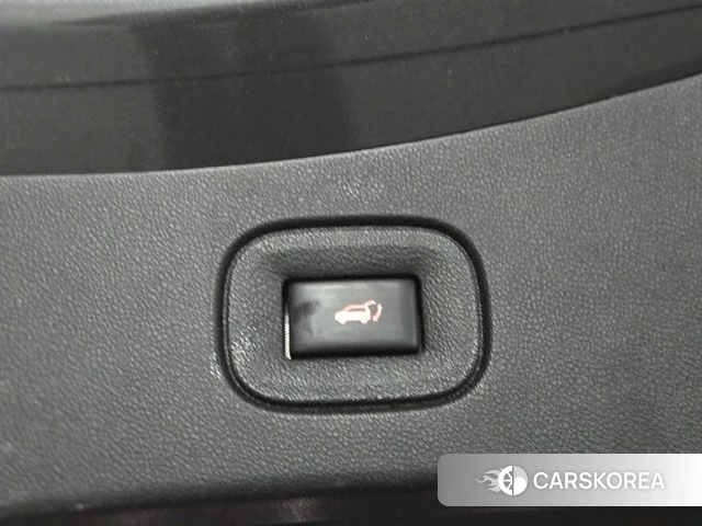 Renault Korea (Samsung) The New QM6 2021 Серый из Кореи, фото 6