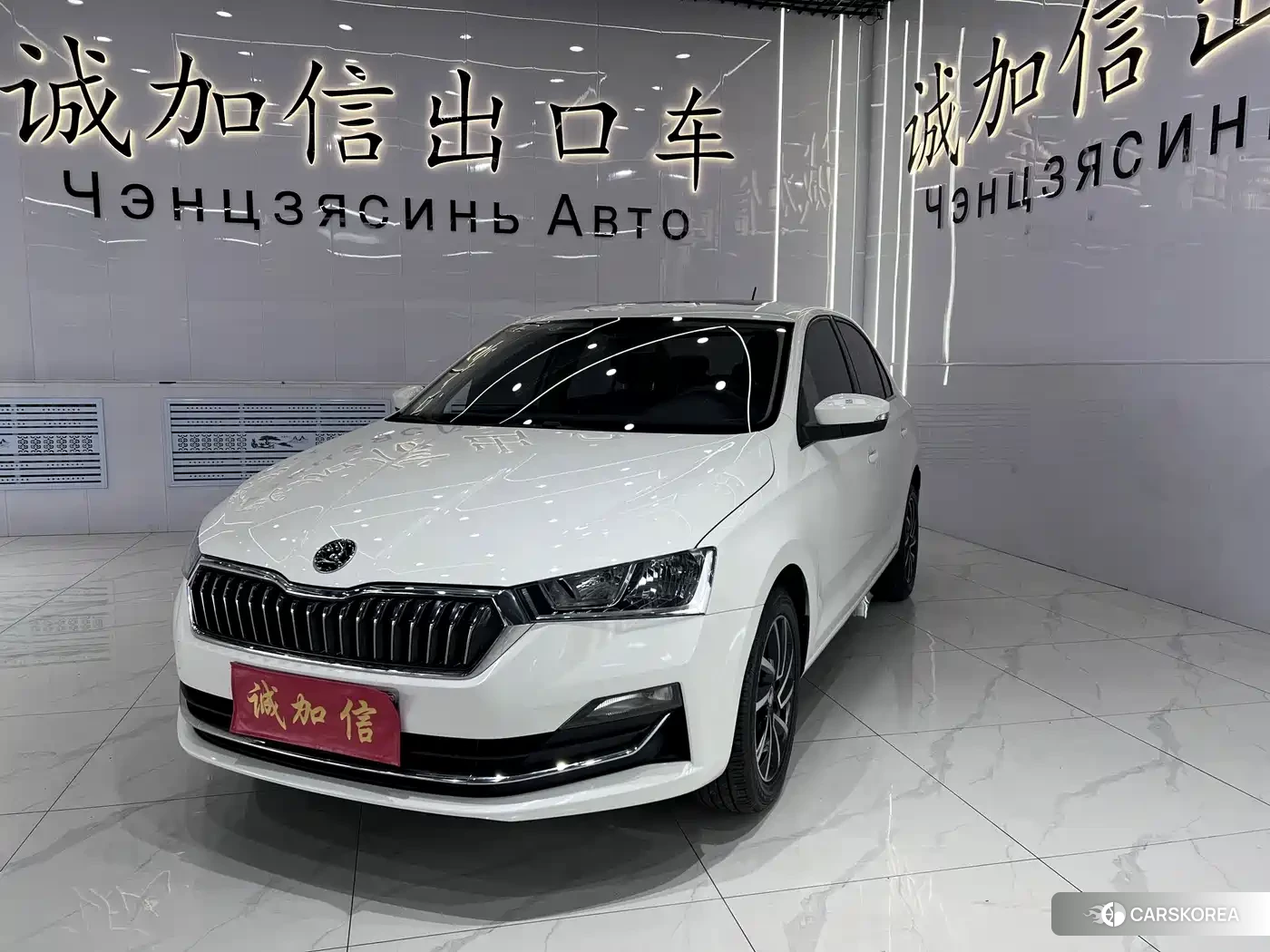 Skoda Xin Rui 2022 Белый из Китая, фото 6