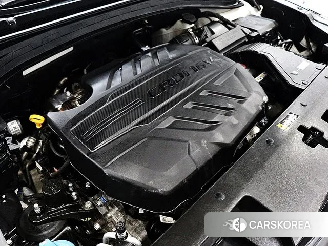 Hyundai Santa Fe TM 2019 Черный из Кореи, фото 6