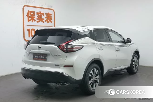 Nissan Loulan 2019 Белый из Китая, фото 6
