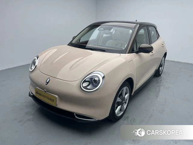 Euler Good cat 2021 Другой из Китая, фото 6