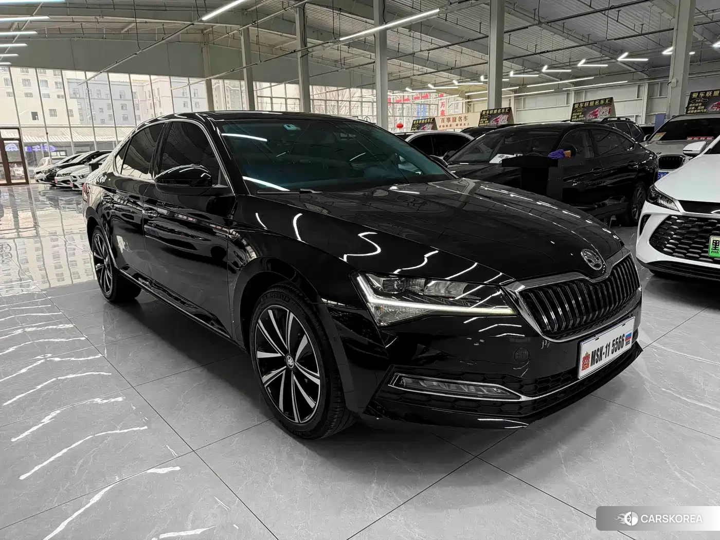 Skoda Speed pie 2022 Черный из Китая, фото 6