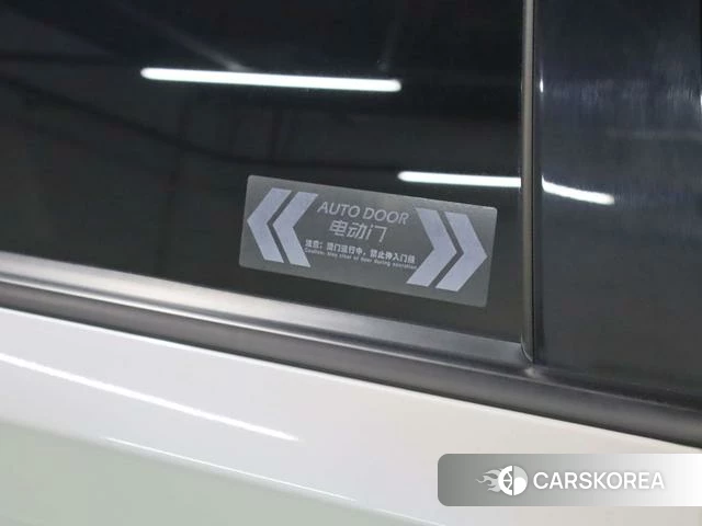 GAC Trumpchi Trumpchi M8 2023 Белый из Китая, фото 6