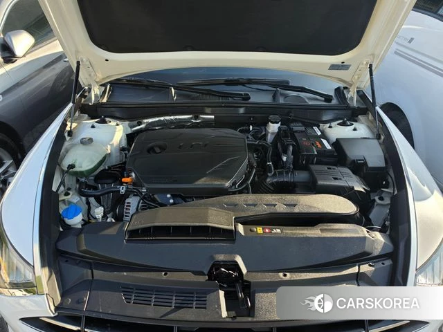 Hyundai Sonata (DN8) 2019 Белый из Кореи, фото 6