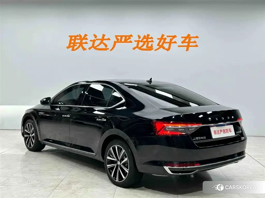 Skoda Speed pie 2024 Черный из Китая, фото 6