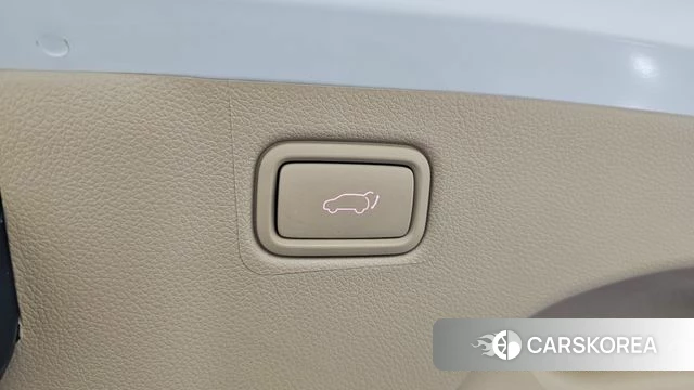 Kia The New Carnival 2019 Белый из Кореи, фото 6