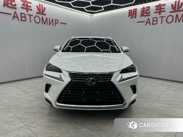 Lexus NX 2021 Белый из Китая, фото 6