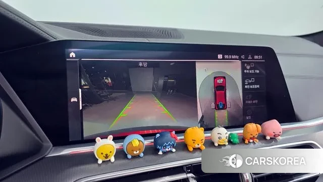 BMW X6 (G06) 2020 Красный из Кореи, фото 6