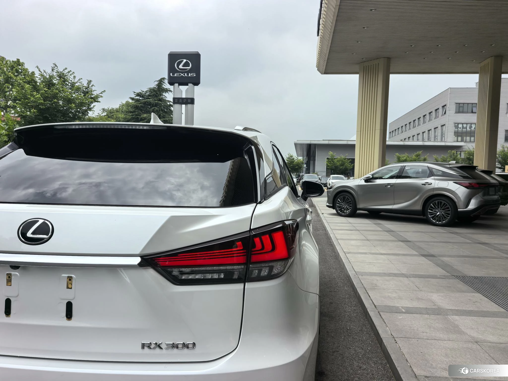 Lexus RX 2021 Белый из Китая, фото 6