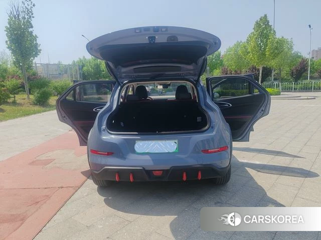 Euler Good cat GT 2023 Темно-серый из Китая, фото 6