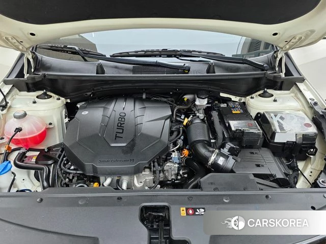 Kia Sportage 5th Generation 2023 Белый из Кореи, фото 6