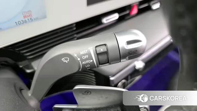 Hyundai Ionic 5 2021 Цвет тростника из Кореи, фото 6