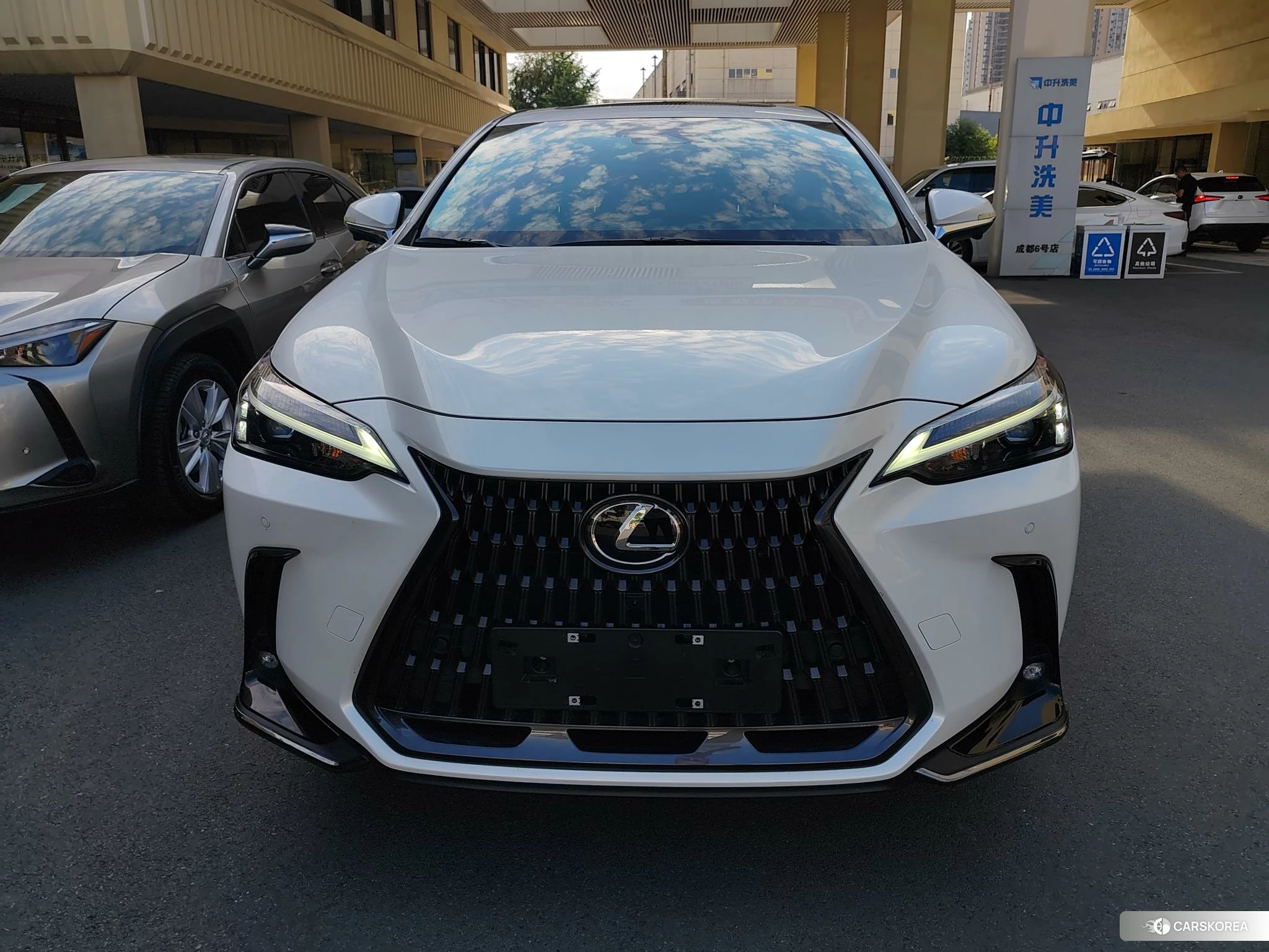 Lexus NX PHEV 2023 Белый из Китая, фото 6