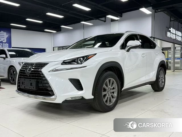 Lexus NX 2021 Белый из Китая, фото 6