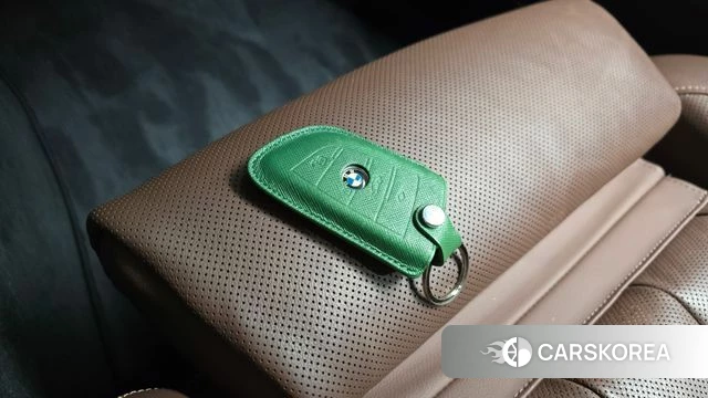 BMW X6 (G06) 2020 Цвет тростника из Кореи, фото 6