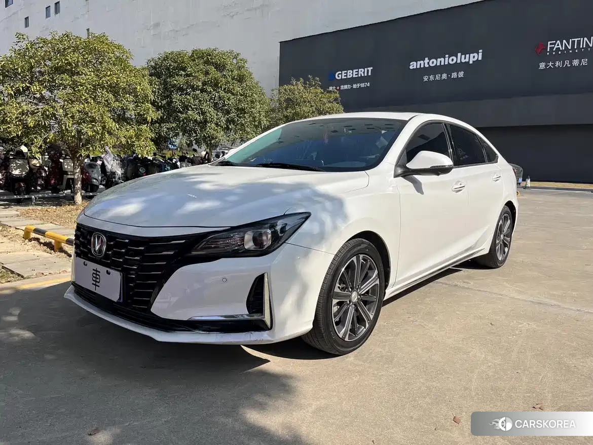 Chang'an Ruicheng CC 2021 Белый из Китая, фото 6