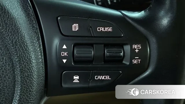 Kia The New Carnival 2018 Белый из Кореи, фото 6