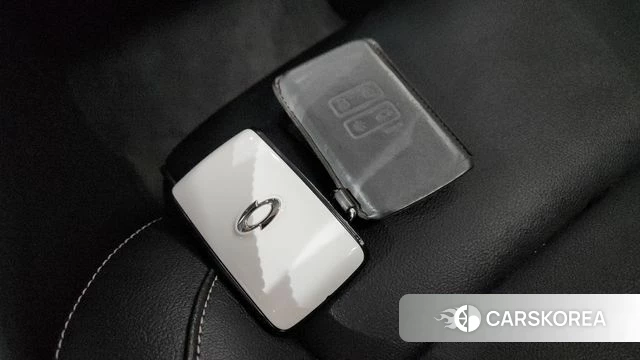 Renault Korea (Samsung) The New QM6 2021 Серый из Кореи, фото 6