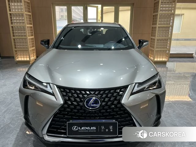 Lexus UX 2021 Серебристо-серый из Китая, фото 6