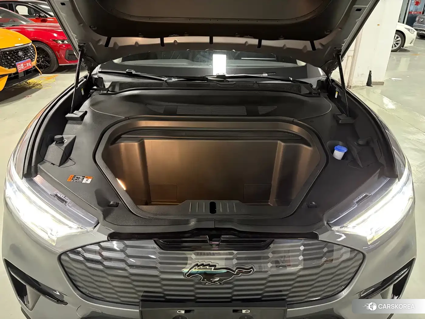 Ford Electric horse 2022 Silver/gray из Китая, фото 6
