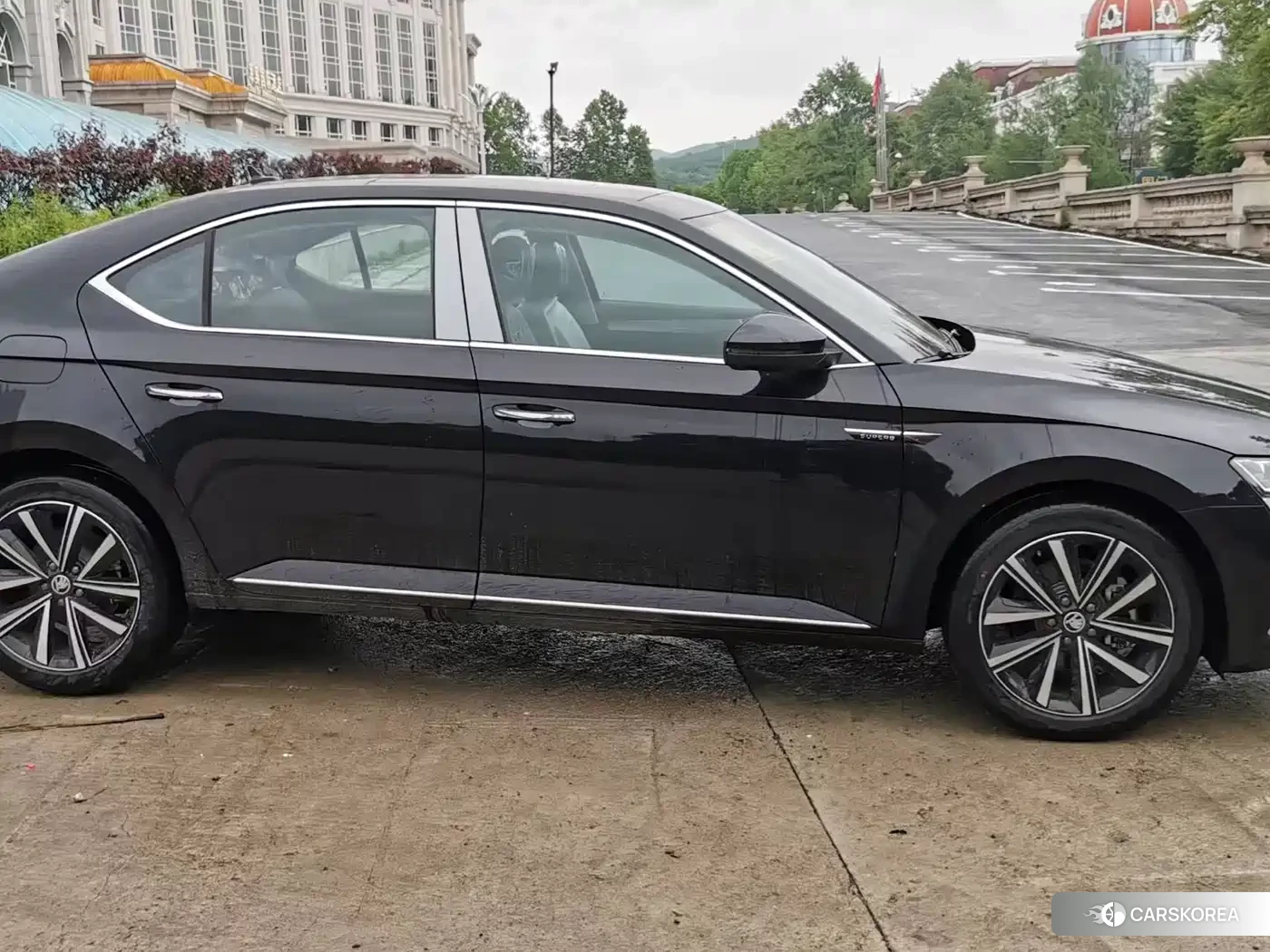 Skoda Speed pie 2026 Черный из Китая, фото 6