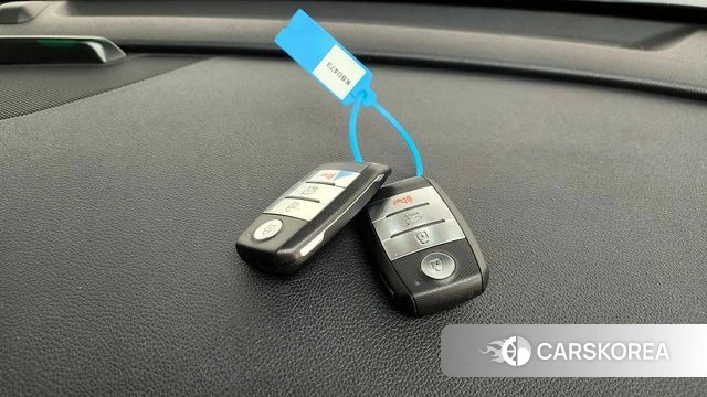 Kia Niro EV 2020 Белый из Кореи, фото 6