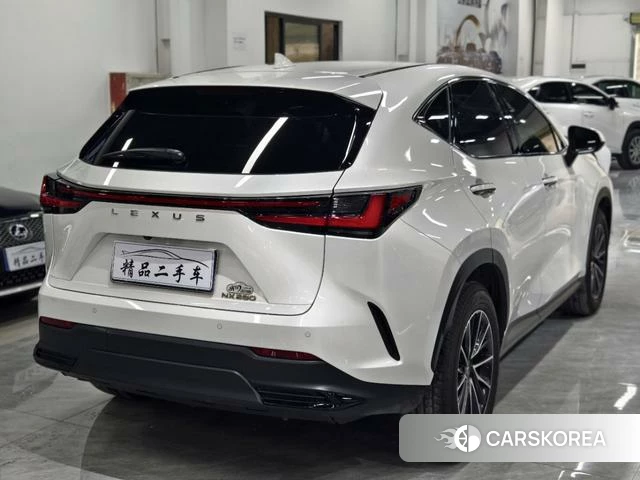 Lexus NX 2024 Белый из Китая, фото 6