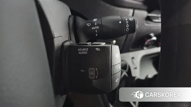 Renault Korea (Samsung) Master 2020 Серебряный из Кореи, фото 6