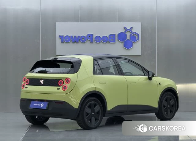 firefly firefly Unknown 2025 Зеленый из Китая, фото 6