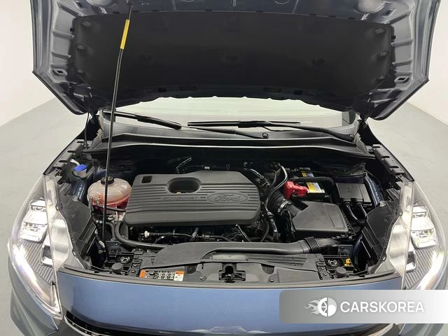 Ford Ruiji 2021 Синий из Китая, фото 6