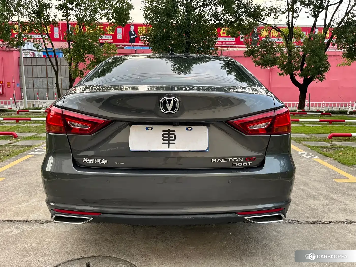 Chang'an Ruicheng CC 2022 Silver/gray из Китая, фото 6