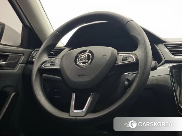 Skoda Speed pie 2019 Белый из Китая, фото 6