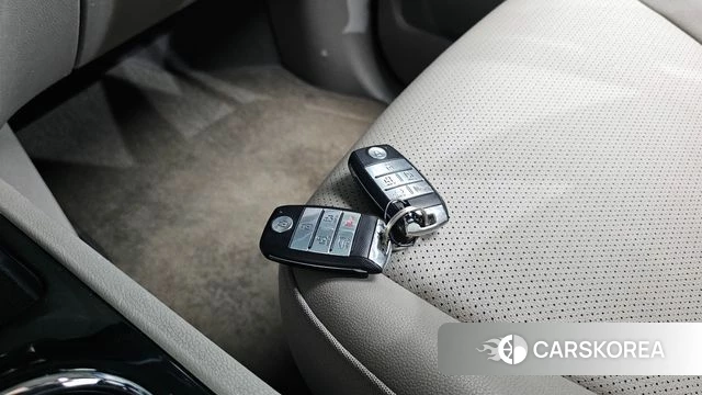 Kia The New Carnival 2020 Белый из Кореи, фото 6