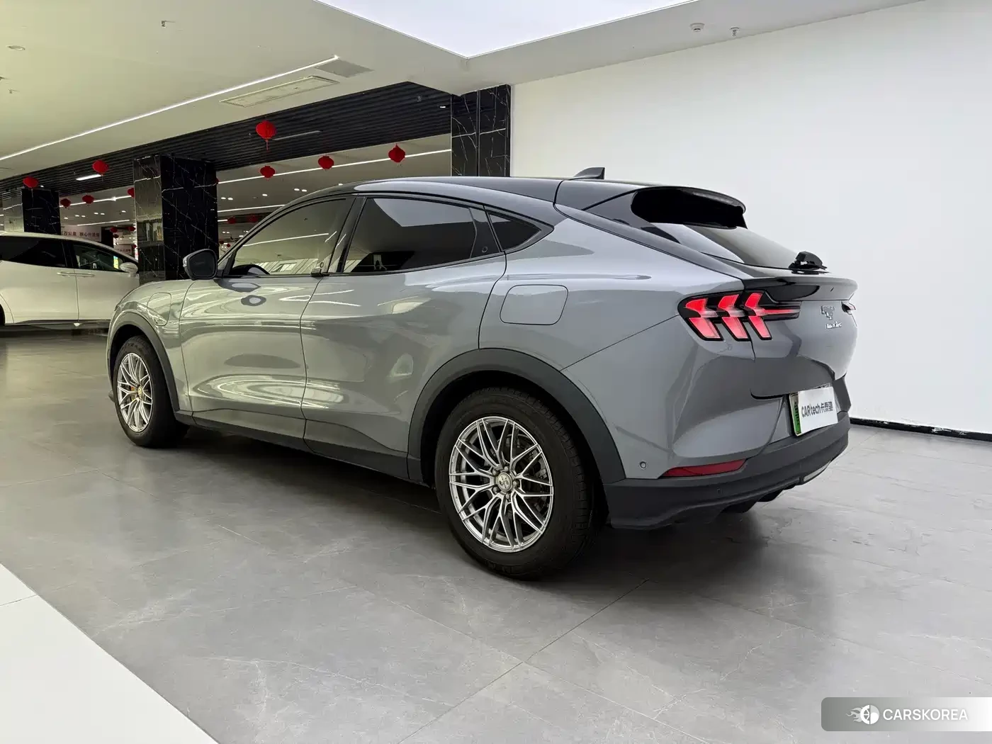 Ford Electric horse 2023 Silver/gray из Китая, фото 6