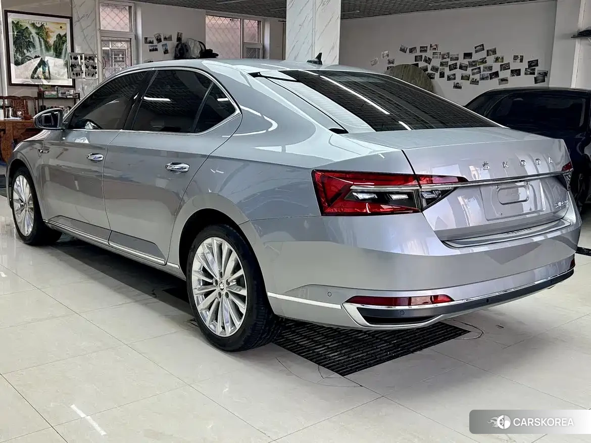 Skoda Speed pie 2023 Silver/gray из Китая, фото 6