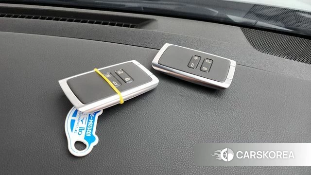 Renault Korea (Samsung) The New QM6 2020 Жемчужный цвет из Кореи, фото 6